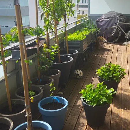 Modern Bright Klagenfurt am Woerthersee