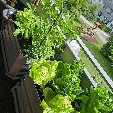 Modern Bright Appartement