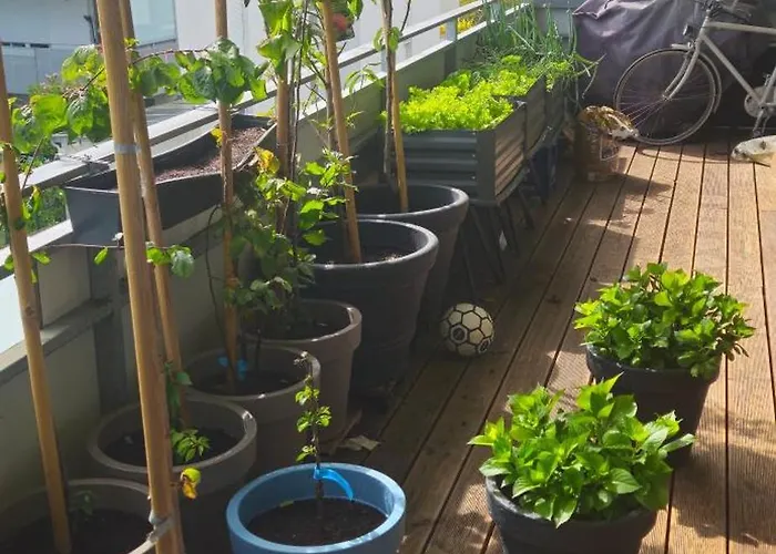 Modern Bright Klagenfurt am Woerthersee