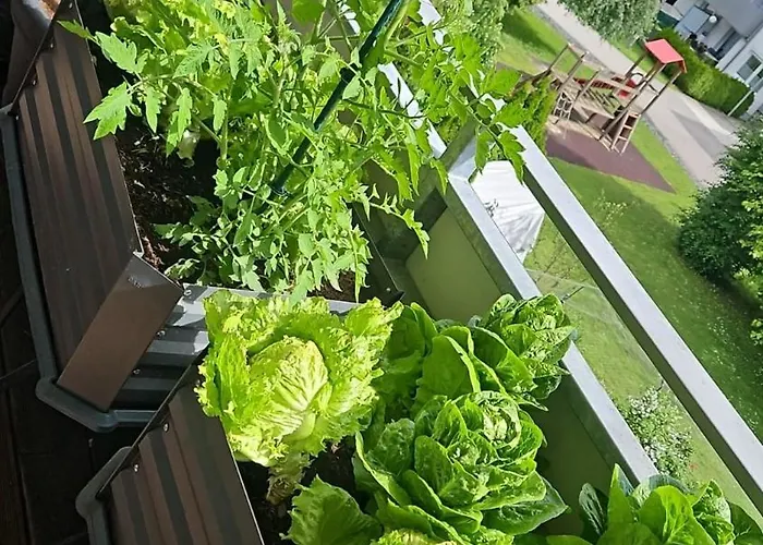 Modern Bright Apartament